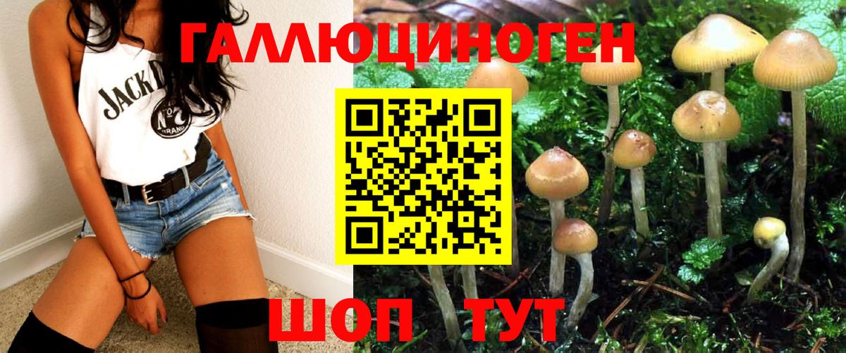 Кирово-Чепецк  Галлюциногенные грибы Psilocybe  как найти наркотики  Вход с VPN 